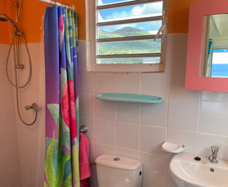 En suite bathroom w/roomy walk-in shower & mountain view